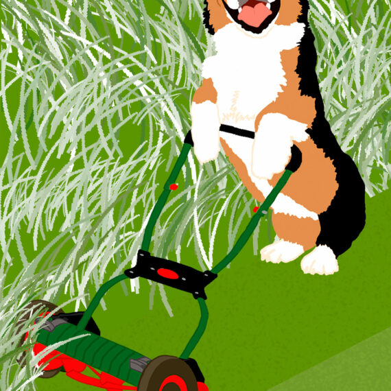 Mowing (237)