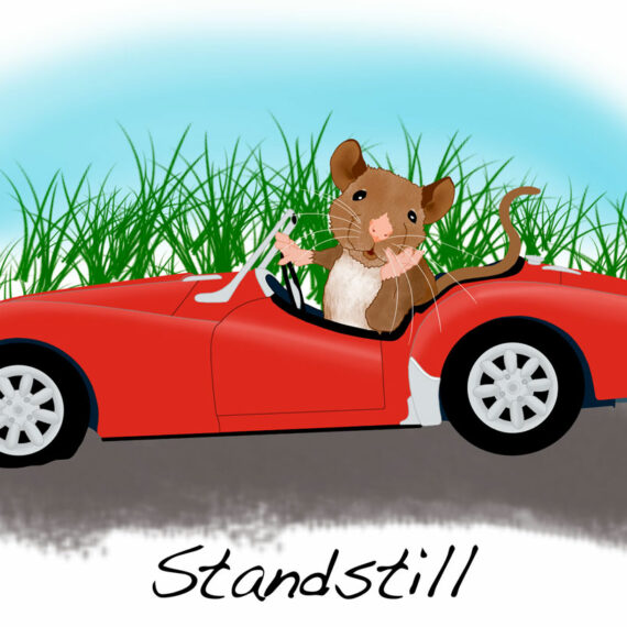 Stand Still (256)