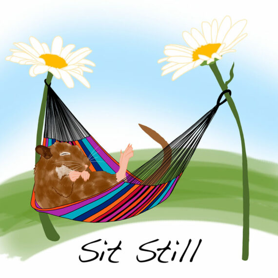 Sit Still (257)