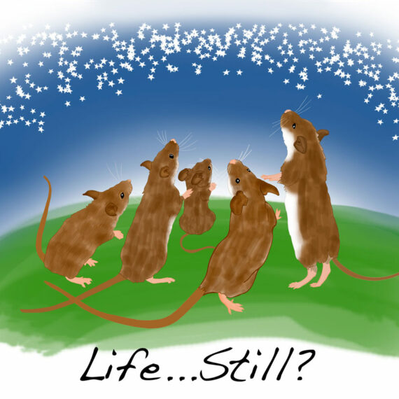 Life ... Still? (258)