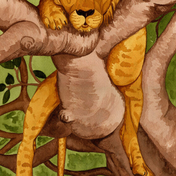 Lion in Fig Tree (031)
