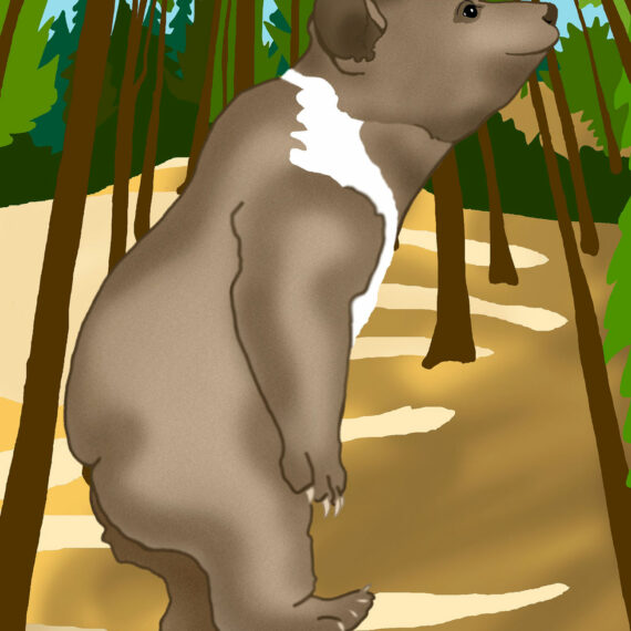 A Bear Walks into the Glen (314)